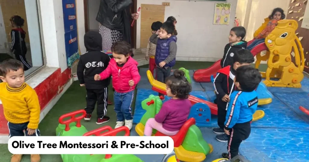 Olive Tree Montessori & Pre-School