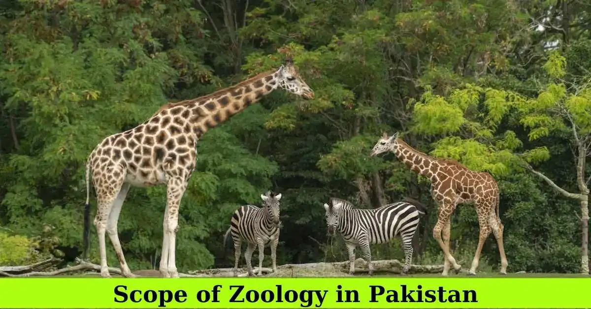 Scope of Zoology in Pakistan